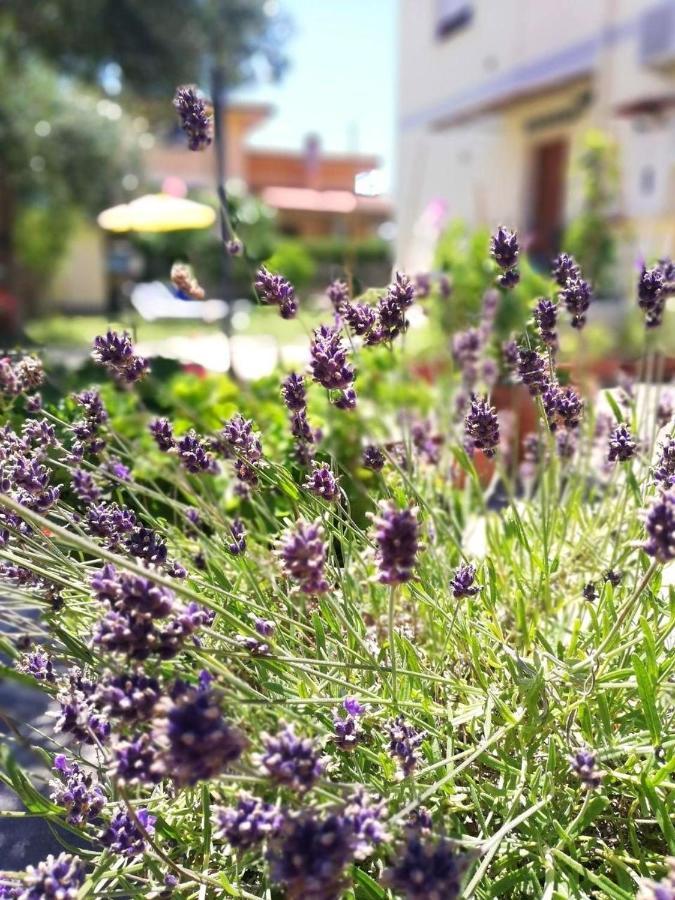 A Casa Di Iole Lejlighed Fiumicino Eksteriør billede