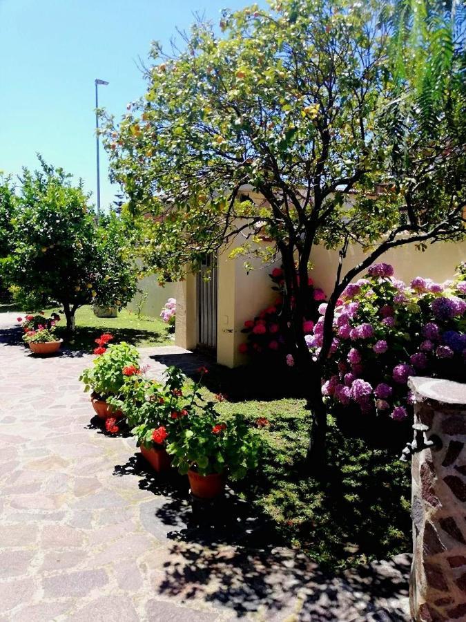 A Casa Di Iole Lejlighed Fiumicino Eksteriør billede